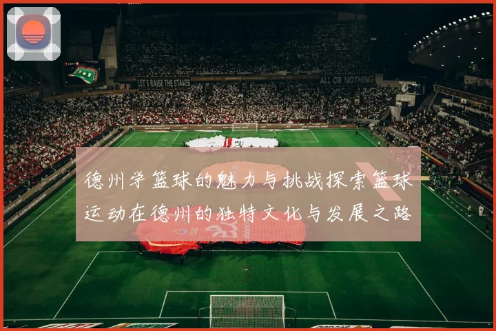 德州学篮球的魅力与挑战探索篮球运动在德州的独特文化与发展之路
