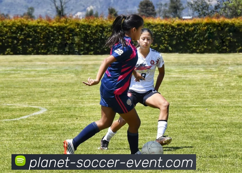 App Interface Preview